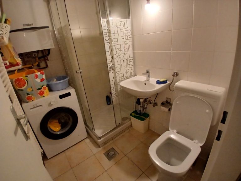 Nailova kopalnica ni primerna za invalida in potrebuje prenovo, kar za družino predstavlja preveliko finančno breme.jpg