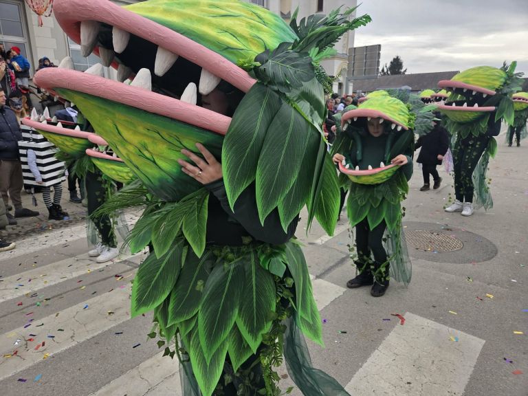 EK_fasenk markovci 4.jpg