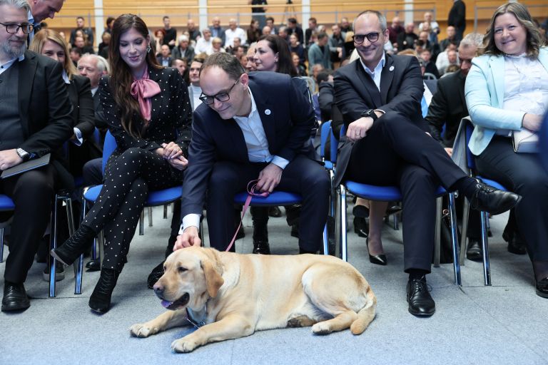 volilna-konvencija, demokrati