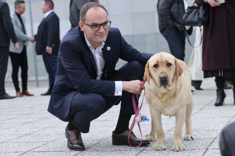 volilna-konvencija, demokrati