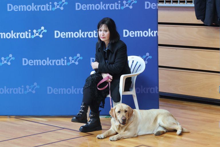 volilna-konvencija, demokrati