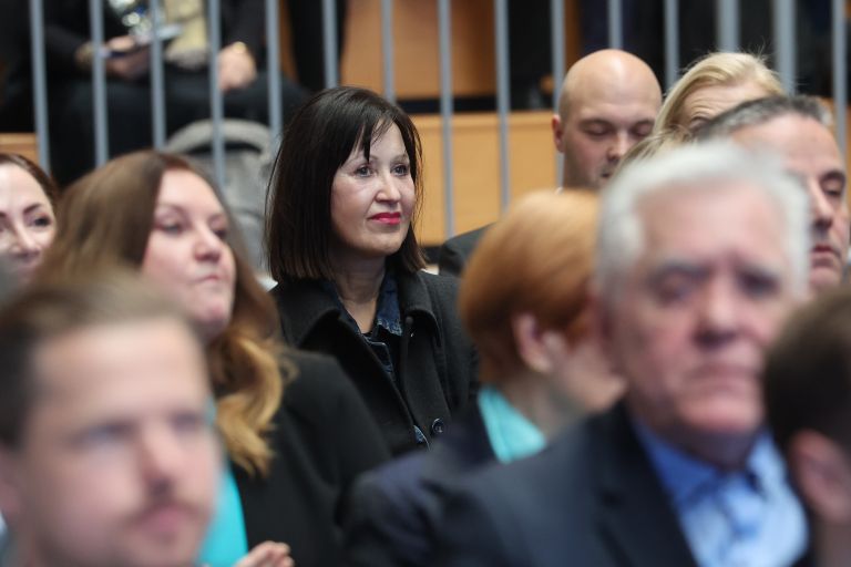 volilna-konvencija, demokrati