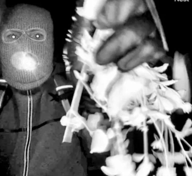 zakrinkani moški, rokavica, nancy guthrie.jpg