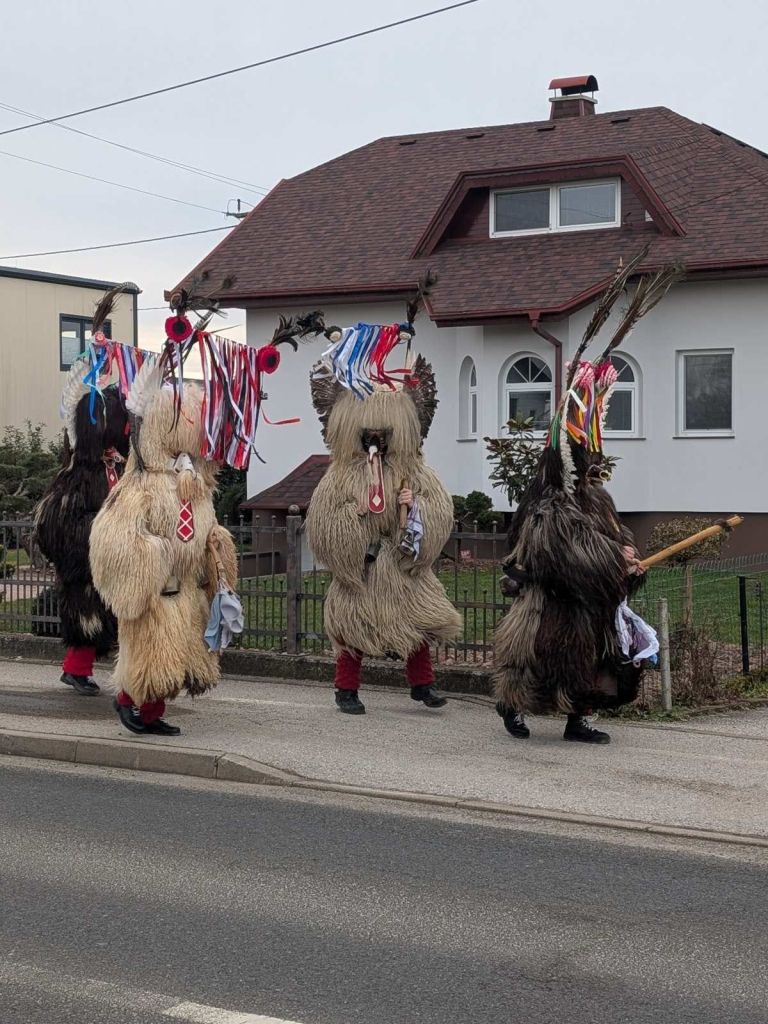 povorka, petanjci