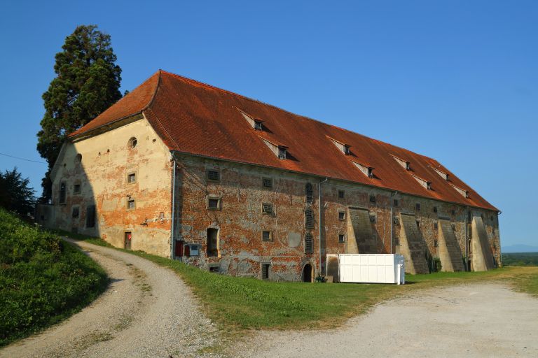 cg_zitnica_1.jpg