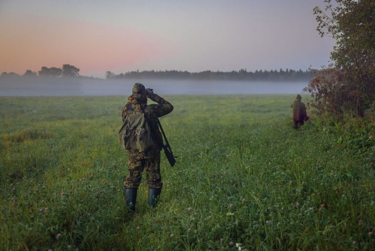 lovec, gozd, megla.jpg