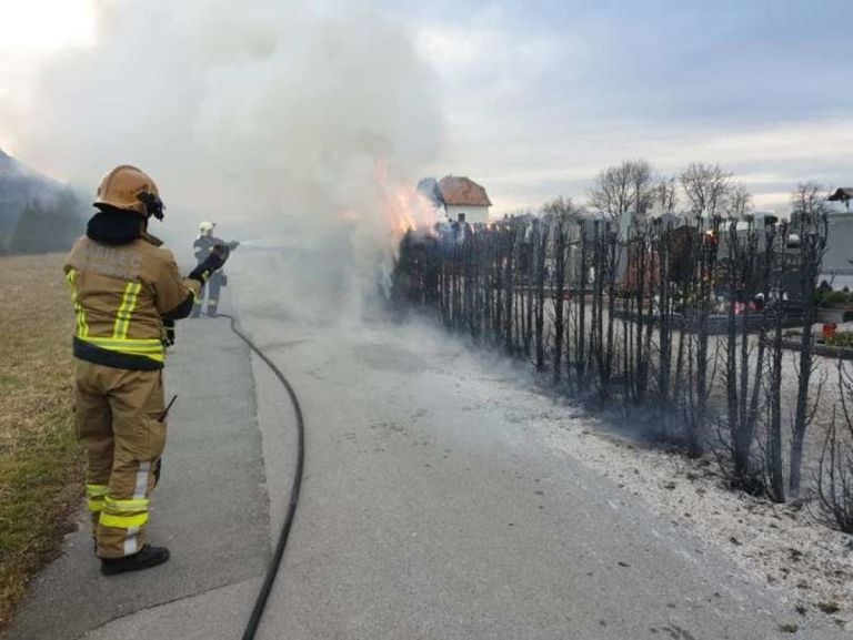 gorece ciprese arhiv s24.jpg