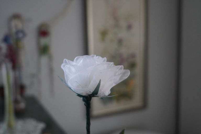 ana-crnkovič, register-nesnovne-kulturne-dediščine