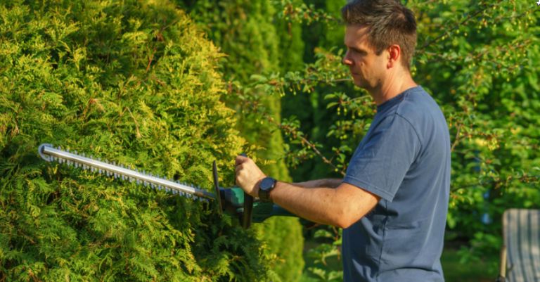 škarje za živo mejo