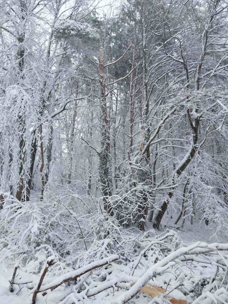 snegolom, obilno-snezenje