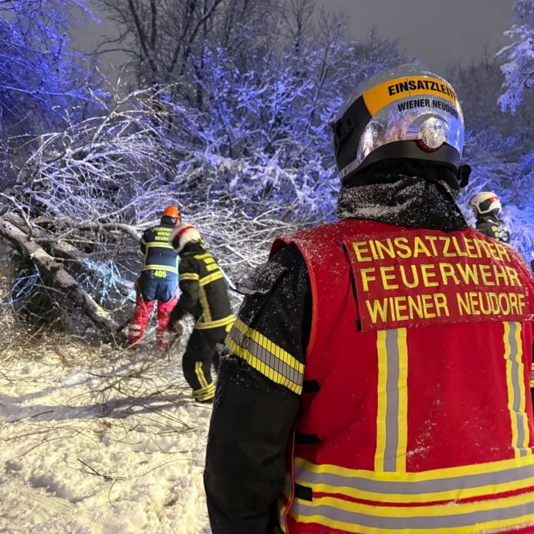 snegolom, dunaj, sneg