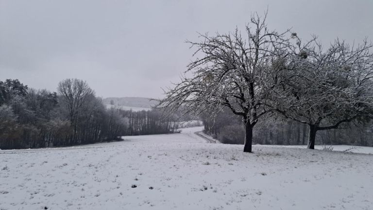 sneg, goricko, februar-2026