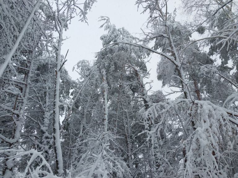 snegolom, obilno-snezenje