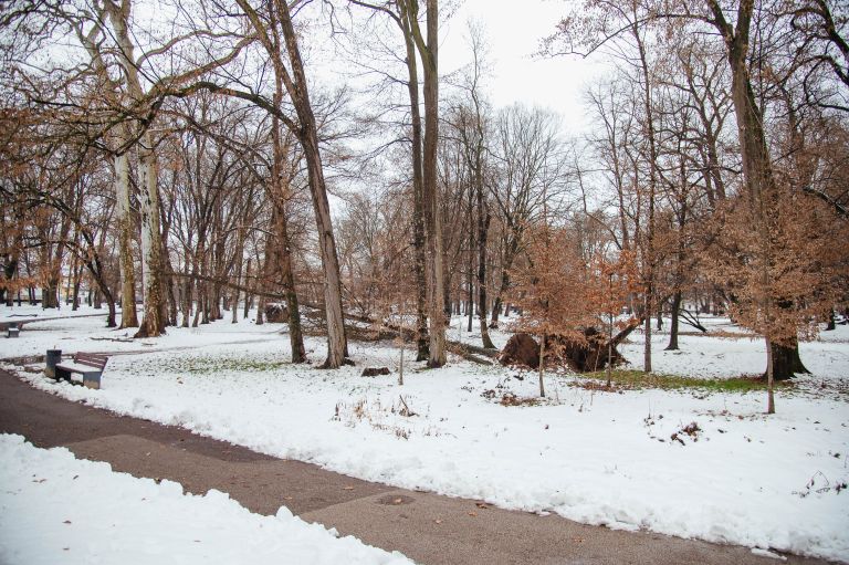 snegolom-2026, murska-sobota, sneg, podrta-drevesa, podrto-drevje