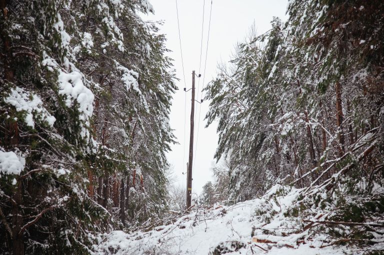 goričko, sneg, podrta-drevesa, podrto-drevje, snegolom
