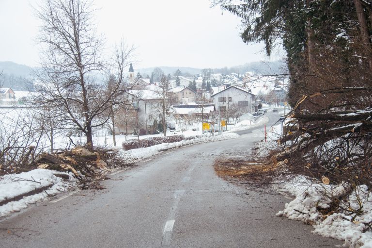 goričko, sneg, podrta-drevesa, podrto-drevje, snegolom