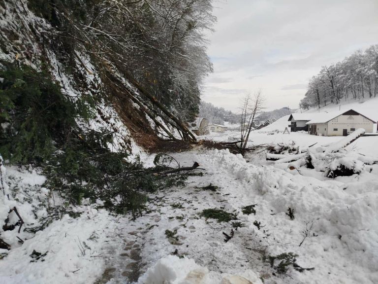 EK_podlehnik snegolom.jpg