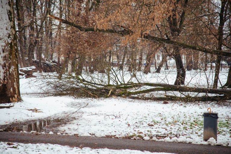 snegolom-2026, murska-sobota, sneg, podrta-drevesa, podrto-drevje