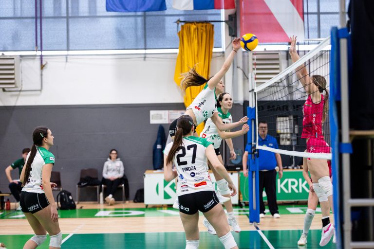 tpv-volley-novo-mesto