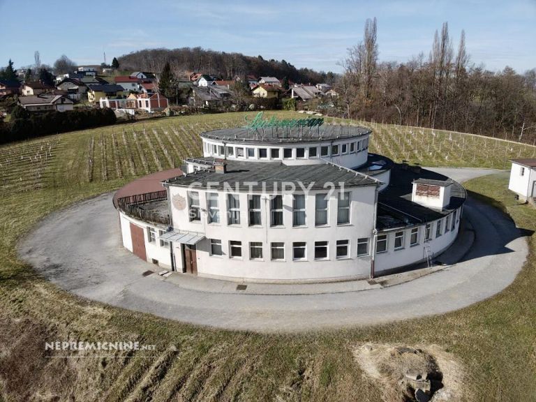 ljutomercan