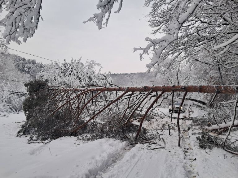 snegolom, goričko, februar-2025, elektro-maribor, elektrika