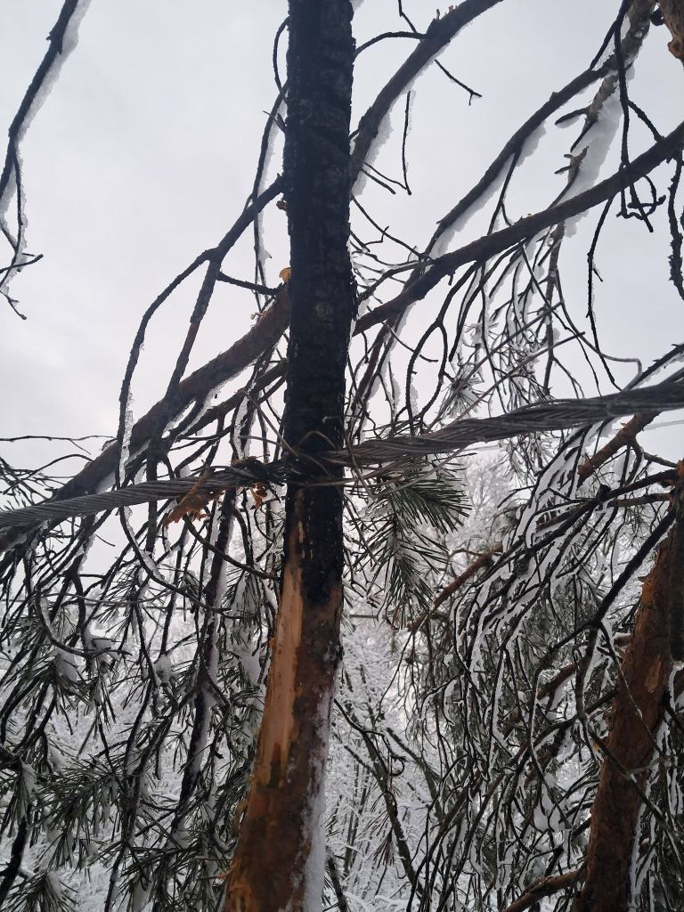 snegolom, goričko, februar-2025, elektro-maribor, elektrika