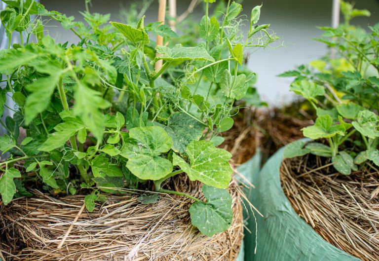 Če je prostora manj, lahko bale preoblikujemo v manjšo površino