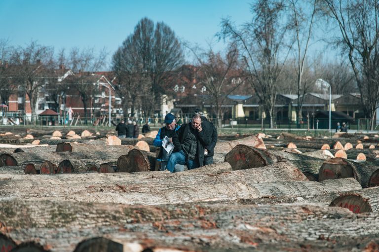 dražba-hlodovine-2026, les, lesa, pomurski-sejem-gornja-radgona