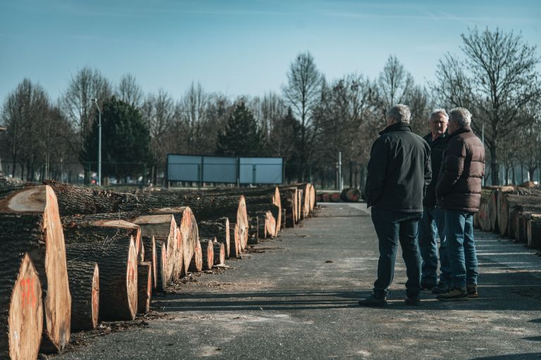 dražba-hlodovine-2026, les, lesa, pomurski-sejem-gornja-radgona