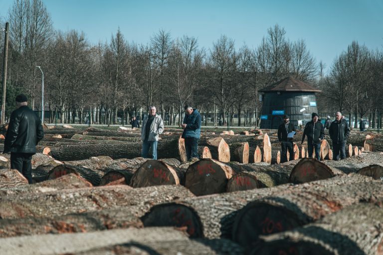 dražba-hlodovine-2026, les, lesa, pomurski-sejem-gornja-radgona
