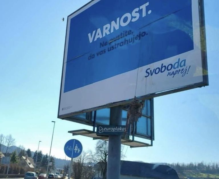 pasje truplo svoboda.jpg