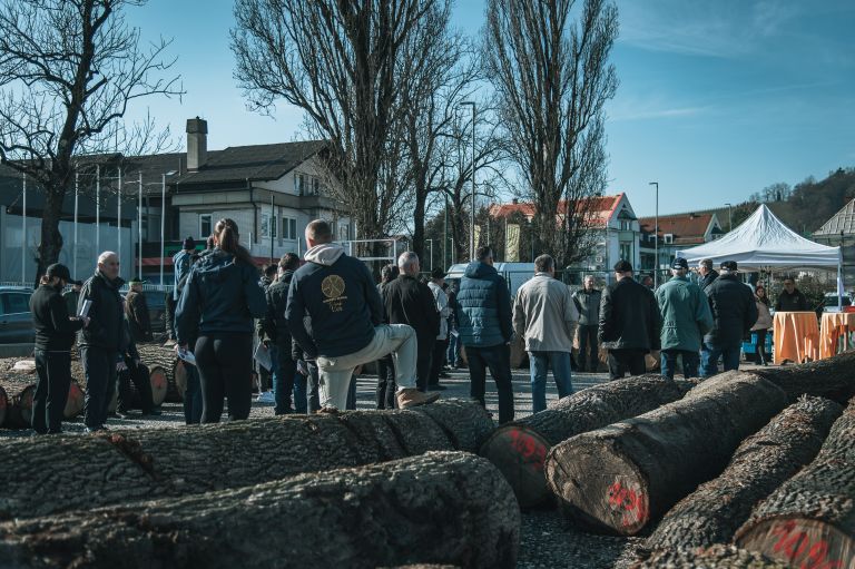 dražba-hlodovine-2026, les, lesa, pomurski-sejem-gornja-radgona