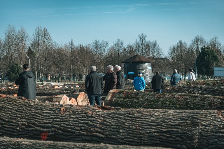 dražba-hlodovine-2026, les, lesa, pomurski-sejem-gornja-radgona