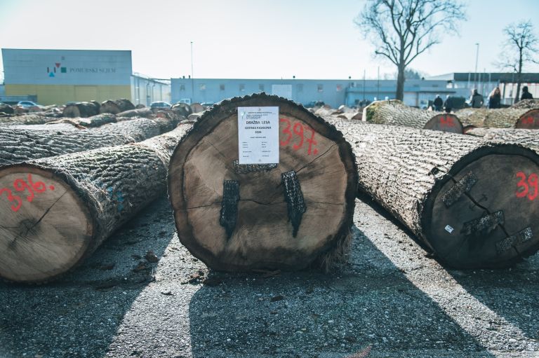 dražba-hlodovine-2026, les, lesa, pomurski-sejem-gornja-radgona