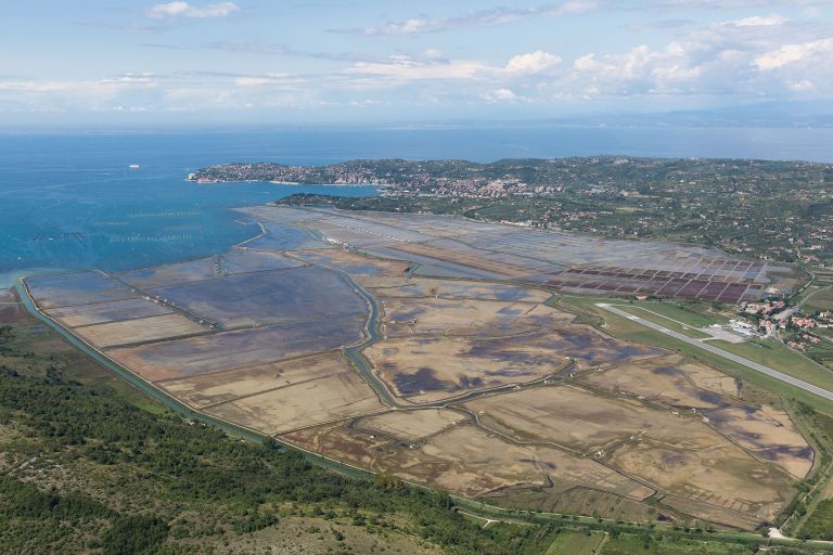 meja dragonja reka zaliv-BOBO.jpg