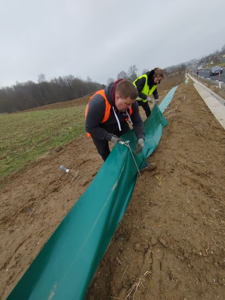 dvozivke, pozor-zabe-na-cesti