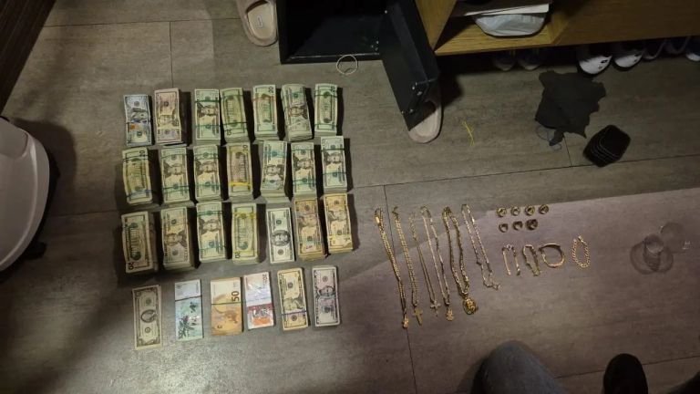 europol, zaseg, los-lobos