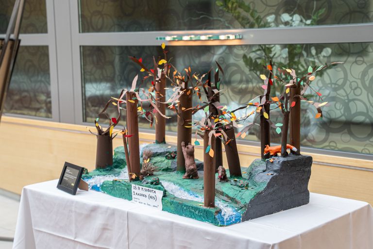 razstava, radenska, vse kar posadimo s srcem uspeva