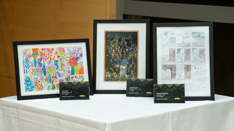 razstava, radenska, vse kar posadimo s srcem uspeva