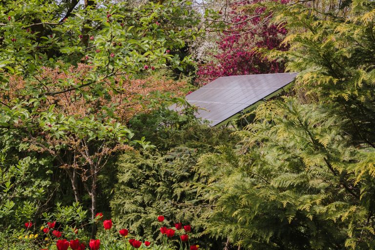 zakrivanje motilcev na vrtu 1