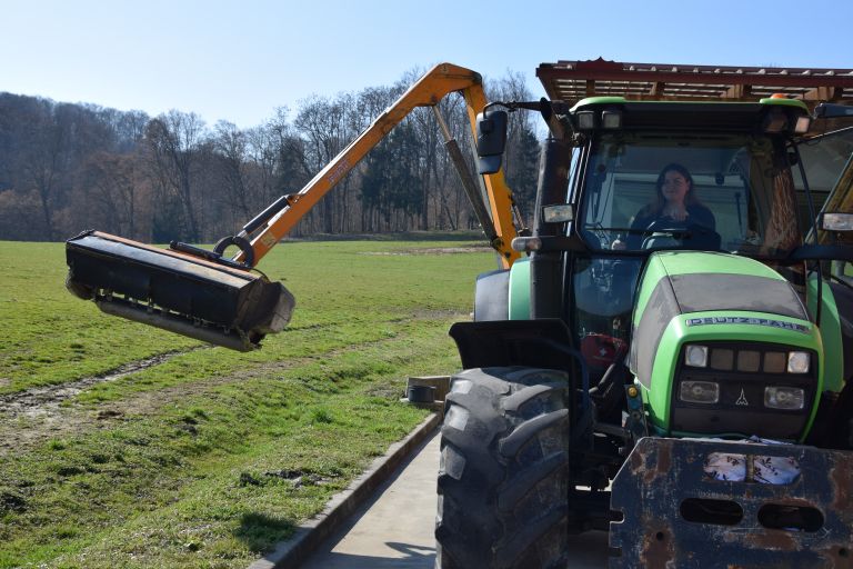 katarina-duh, košnja-trave