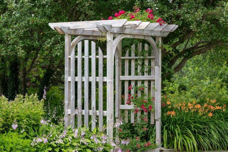 zakrivanje motilcev na vrtu 6