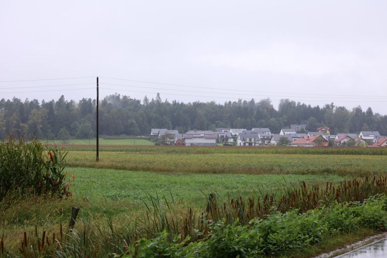 braslovce, letus, rakovlje