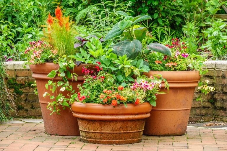 zakrivanje motilcev na vrtu 4