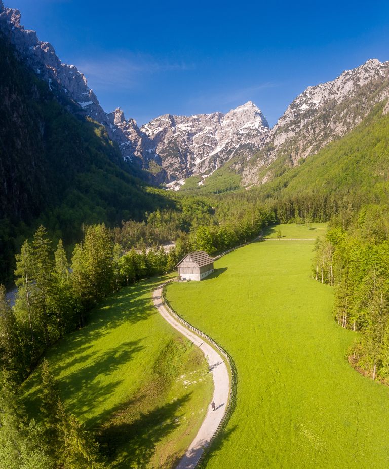robanov-kot