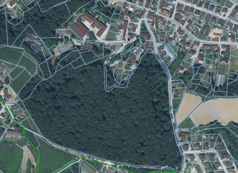 ljutomer, podiranje-dreves