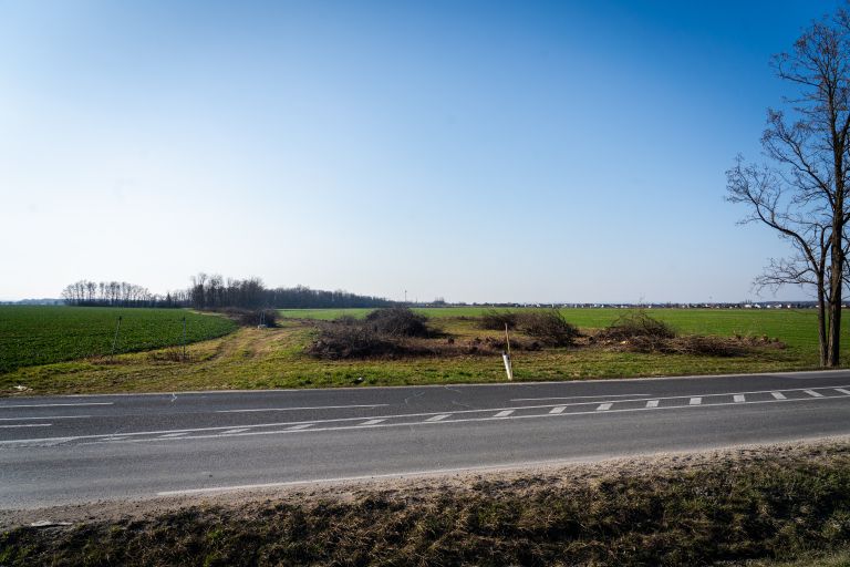 odstranjevanje-drevja, skupina-panvita
