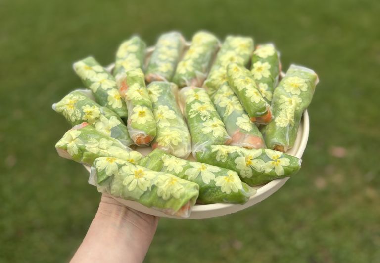 zvitki s trobenticami