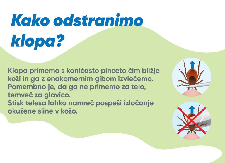 klop, kme