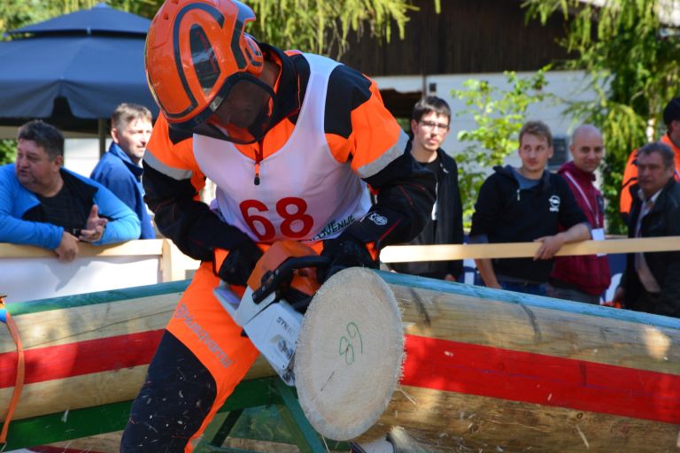 svetovno-gozdarsko-prvenstvo